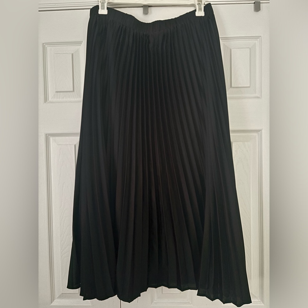 Arula “McKinley” black pleated skirt; size B (2X)